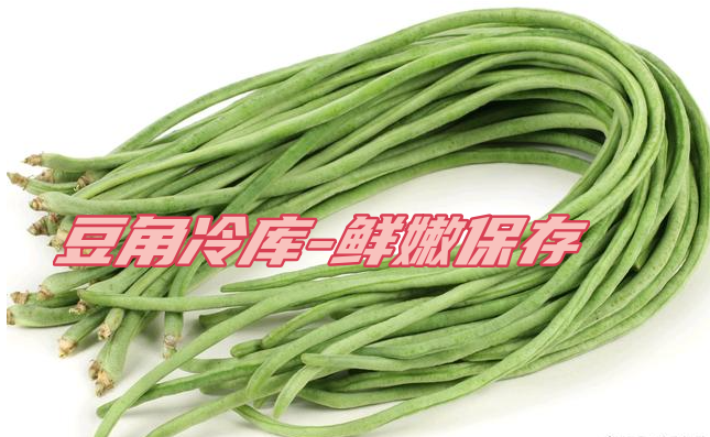 豆角工業冷庫:鮮嫩保存,一年四季供應