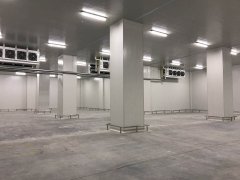600噸香蕉保鮮冷庫報價,貯藏技術