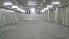 新建500噸香蕉水果氣調庫需要多少錢?