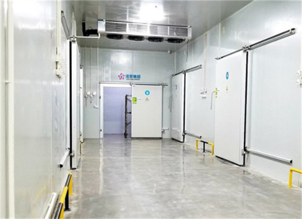 冷庫投資現狀 浩爽冷庫 冷庫投資現狀 浩爽冷庫