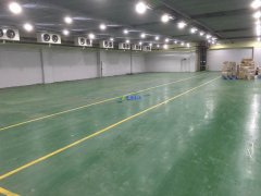 700平米水果冷庫造價(jià)多少,0-5℃保鮮庫建造一平價(jià)格