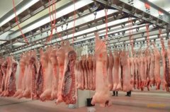 上海安裝600平米肉類冷凍庫價格是多少,600平米冷庫的耗電量怎樣