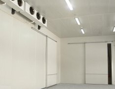 竹筍氣調庫預算成本是多少?竹筍的保存方法
